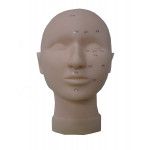 Eyelash Practice Massage Training Cosmetology Mannequin Head with Pressure Point