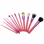 Make-Up Brush Set (12PCS)