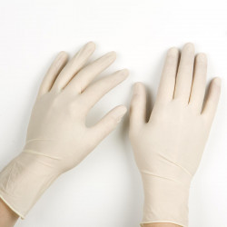 Latex Gloves (Powder Free)