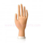  Practice Hand Model Flexible Movable 
