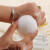 Konjac Sponge