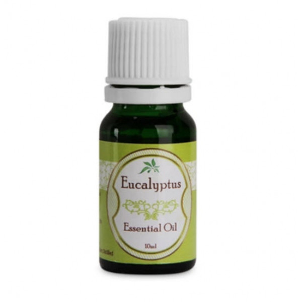 Eucalyptus Essential Oil 10ml