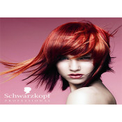  SCHWARZKOPF (14)