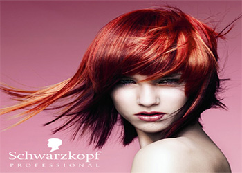  SCHWARZKOPF