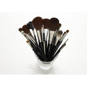 BRUSHES & APPLICATORS (49)